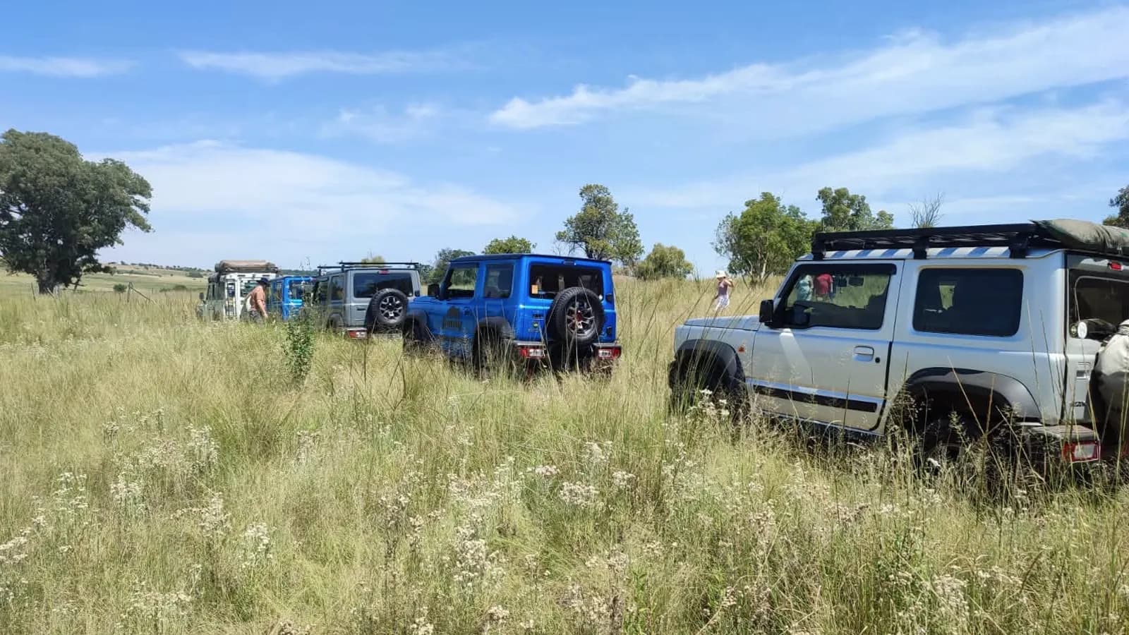 Battle walks spring Swarry cover image