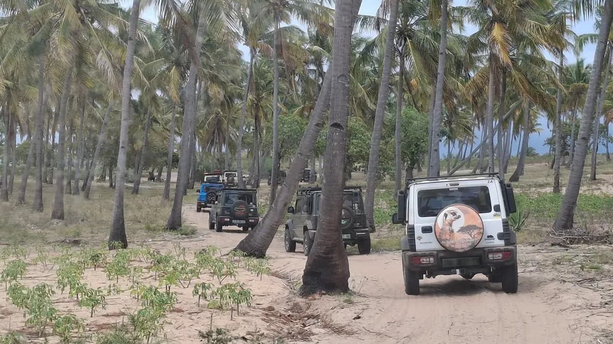 Mozambique Trip Group 1 cover image